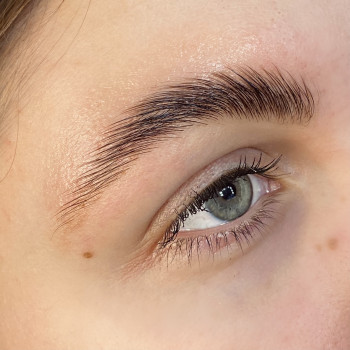 Ламинирование бровей
                    Бровист Елизавета Черкассы