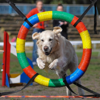 Алексей Иванов, Київ Фото - 34