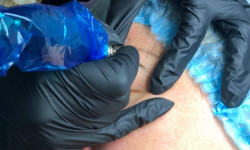 Пудрове напилення брів Салон красоты LFS - Героїв України Бровары