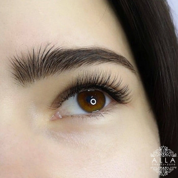 Классическое наращивание ресниц
                    Салон краси ALLA beauty-zone Харків
