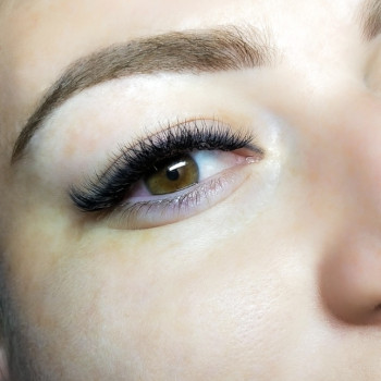 Объем 3D,мягкая лиса,изгиб D