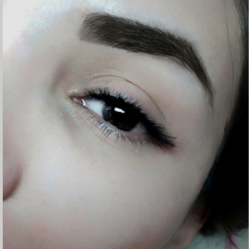 Объем 4D,Лиса короткими длинами изгиб L+C