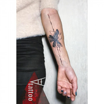 Виктория , Бориспіль Фото - 1