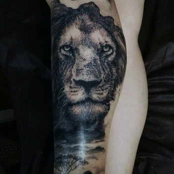 Дмитрий Шевченко, Дніпро Фото - 49