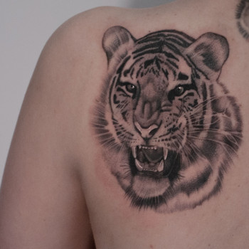 Тату тигр тату, фото - Тату салон Dudnykov Tattoo