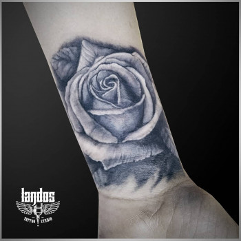 Сергей Ланда, Черкаси Фото - 6