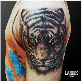 Сергей Ланда, Черкаси Фото - 7