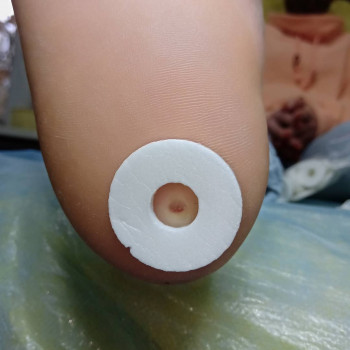 Катерина Діряба, Запоріжжя Фото - 39