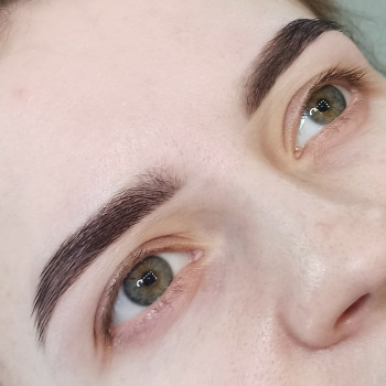 Шикарные бровки от мастера Елены