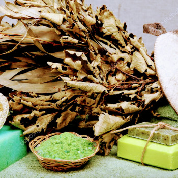 Тюльпан, Сумы Фото - 5