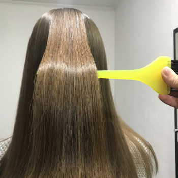 Ботокс для волос
                    Парикмахер Алина Харьков