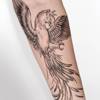 Tattoo City, Харьков Фото - 42