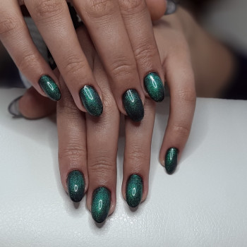 Наращивание ногтей
                    Мастер маникюра Елена Сумы