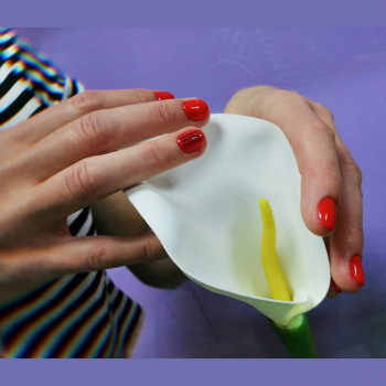 Арина Алёхина, Мелітополь Фото - 11