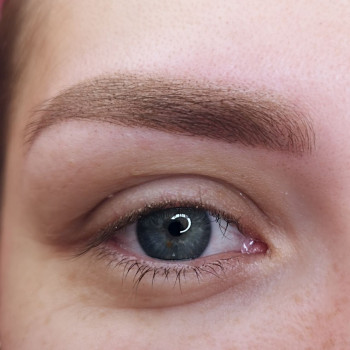 пубровые брови