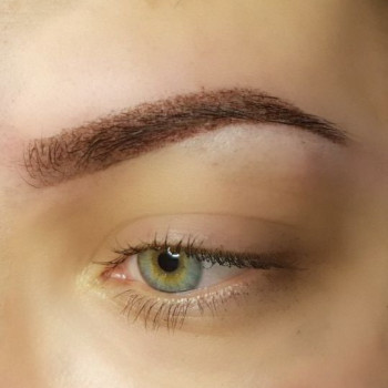 пубровые брови