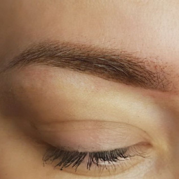 пубровые брови