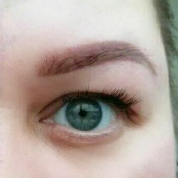 пубровые брови