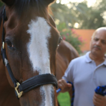 Вікторія Поліщук, Львов Фото - 14