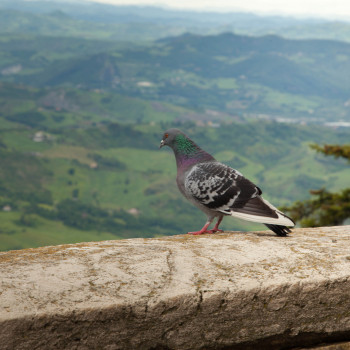 Вікторія Поліщук, Львов Фото - 15