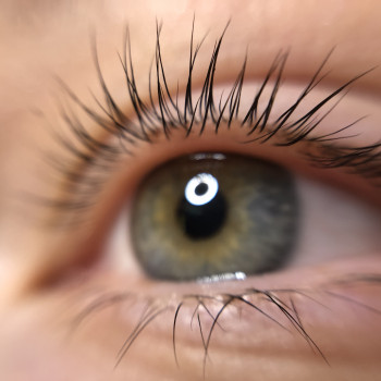 Ламинирование ресниц + ботокс