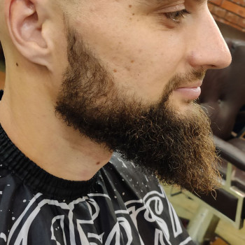 Grizzly, Запорожье Фото - 27