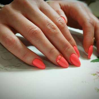 Fifa, Харьков Фото - 40