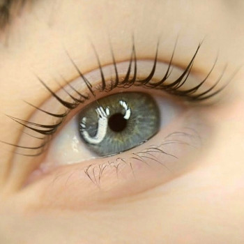 Ламинирование ресниц InLei
                    Лешмейкер Мария Бровари