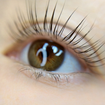 Ламинирование ресниц InLei
                    Лешмейкер Мария Бровари