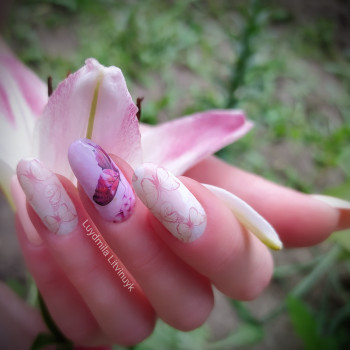 Людмила Литвинюк, Хмельницкий Фото - 20