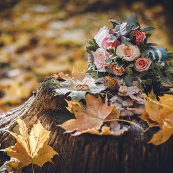 Александр Бырька, Харьков Фото - 7