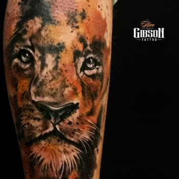 Андрей Скорий, Запоріжжя Фото - 6