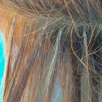 Наращивание волос
                    Мастер маникюра Елена Сумы