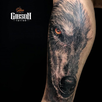 вовк, на руці, кольорові, black&grey