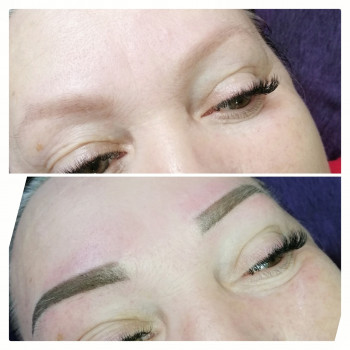 Пудровая техника