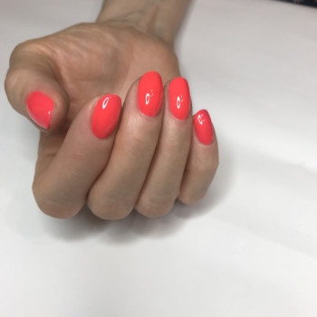 Елена Францен, Харьков Фото - 6