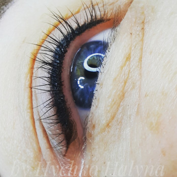 Галина Гичко, Ровно Фото - 7