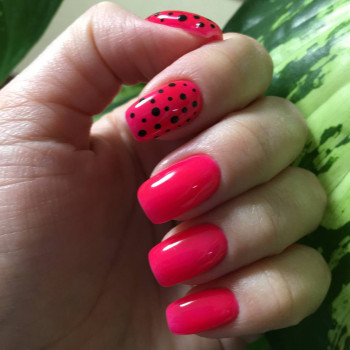 Сакура, Харьков Фото - 52