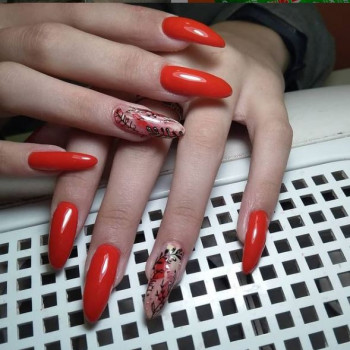 Швидка стрижка, Шостка Фото - 6