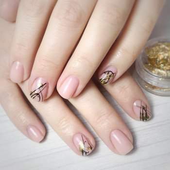 Ксенія Чорна, Чернівці Фото - 8