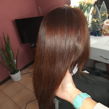 Ботокс волос (реконструкция)
                    Парикмахер Алина Херсон