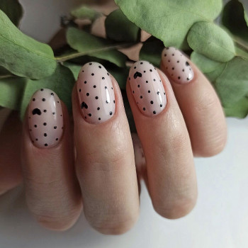 CK studio, Тернополь Фото - 43