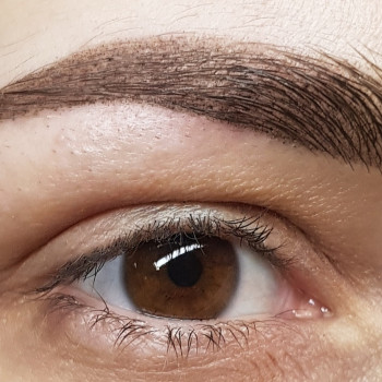 Пудрове напилення брів
                    Студия татуажа Майстерня перманентного макіяжу Олени Олійник Львов