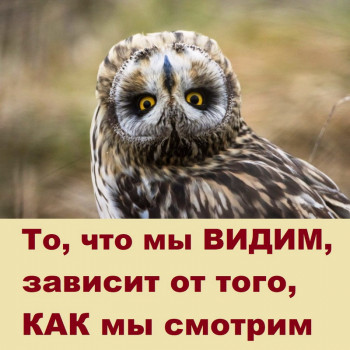 Сприйняття