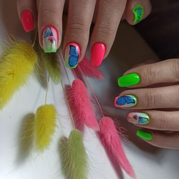 Сніжана Савицька, Долина Фото - 5