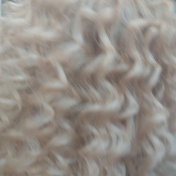 Ольга Гусенко, Дніпро Фото - 10