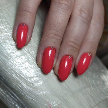 Анжелика Догоренко, Одеса Фото - 20