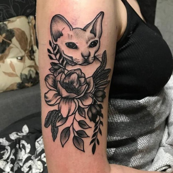 кошка, сфинкс, тату кот
