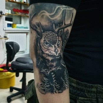 сова, тату сова
