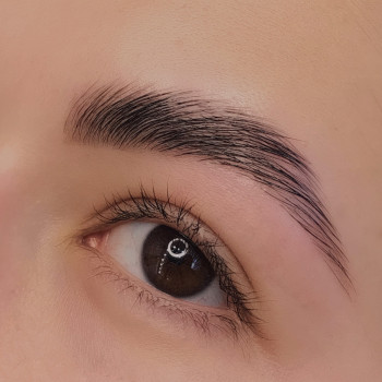 Ламинирование бровей
                    Визажист Людмила Запорожье